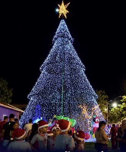 Os artesãos já se preparam para o Natal Iluminado